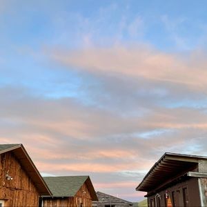 Meet your Posher, Gabby